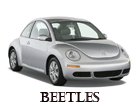 beetles_1